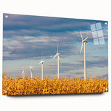 Acrylic print of a Czech Republic landscape with lush greenery and a river, in muted earth tones.