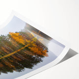 Extra large wall art featuring line art flowers in soft pastel shades on rolled print, ideal for large living room decor.