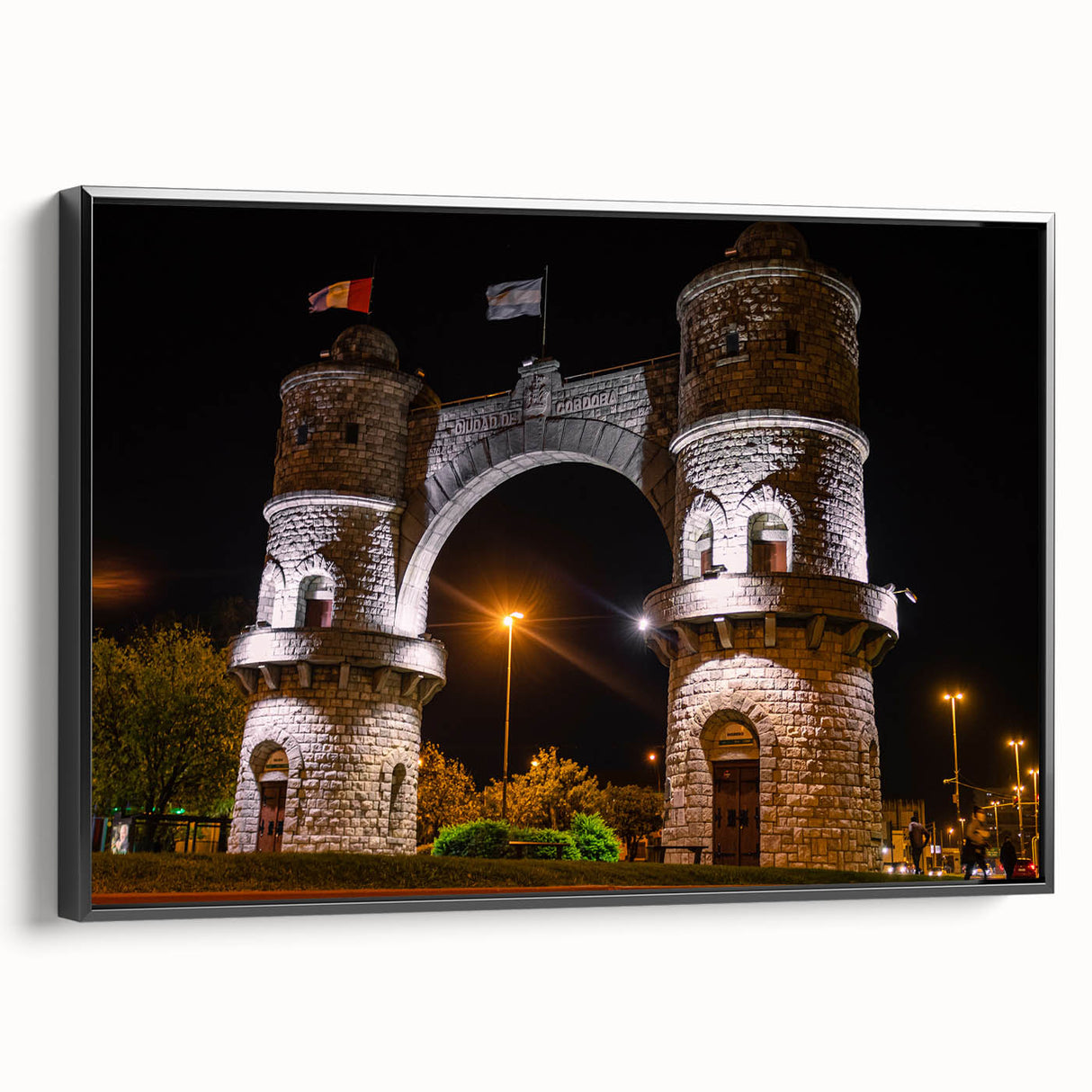 Black and white landscape art painting of an Argentinian scene on framed canvas, suitable for bedroom decor.