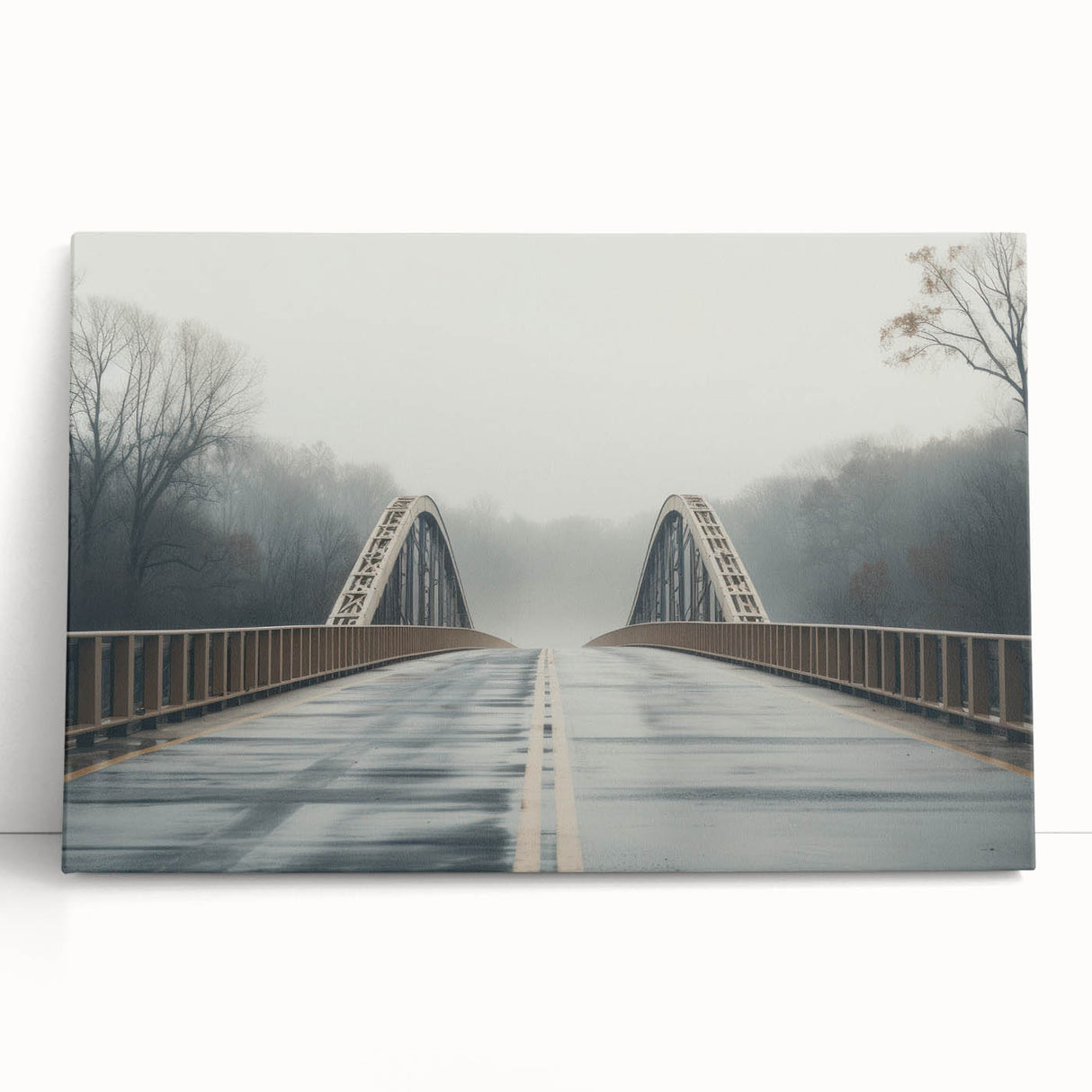 Black and white photograph of Arkansas scenery on stretched canvas, ideal for kitchen wall art or bedroom decor.