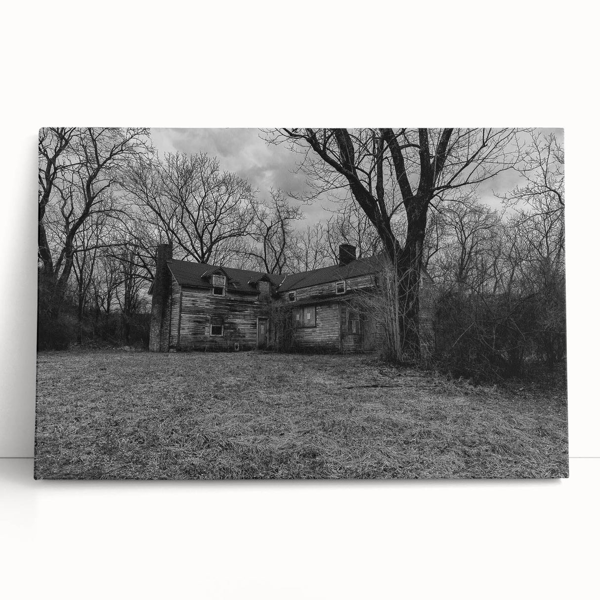 Black and white photo of Delaware scenery on large stretched canvas, ideal for kitchen wall art or bedroom decor.
