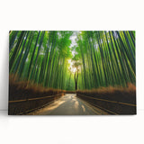 Black and white stretched canvas of a serene Maui landscape, ideal for kitchen wall art or bedroom ambiance.