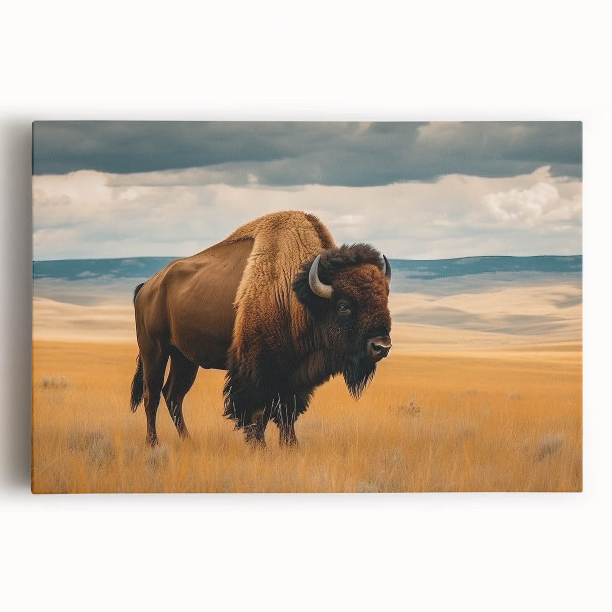 Black and white photo of Oklahoma scenery on large stretched canvas, ideal for kitchen wall art.