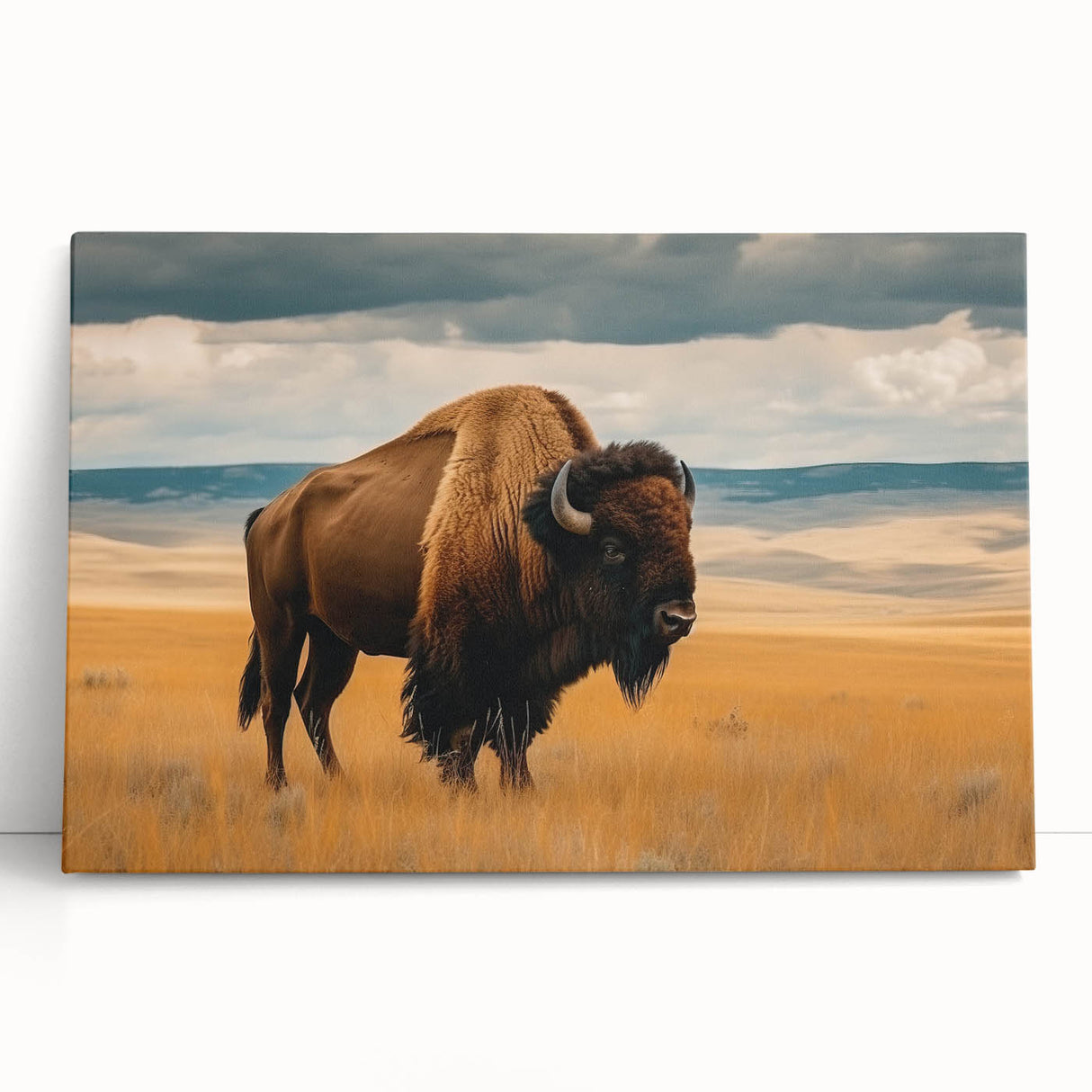 Black and white stretched canvas of Oklahoma scenery, ideal for kitchen wall art or bedroom ambiance.