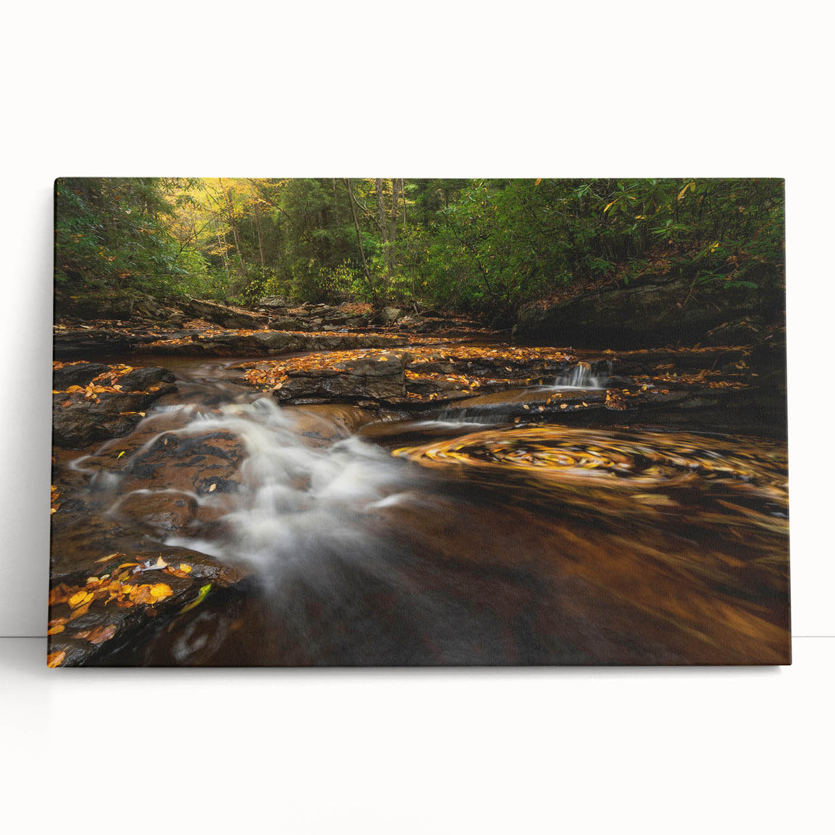 Black and white stretched canvas featuring a serene West Virginia landscape, ideal for kitchen wall art or bedroom ambiance.