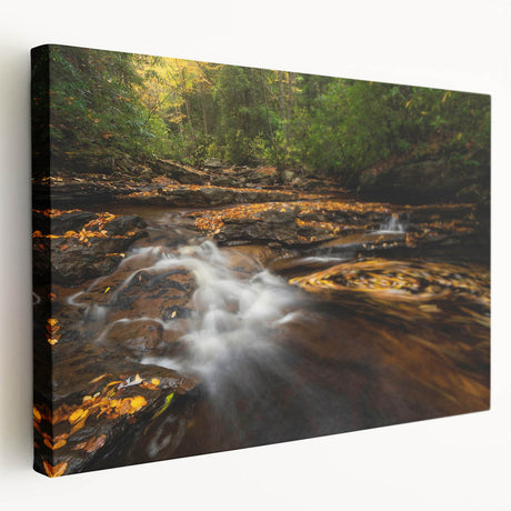 West Virginia landscape on stretched canvas, featuring lush greenery and rolling hills, ideal for kitchen wall art.