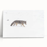 Black and white photograph of Yellowstone scenery on stretched canvas, suitable as kitchen wall art or for bedroom.