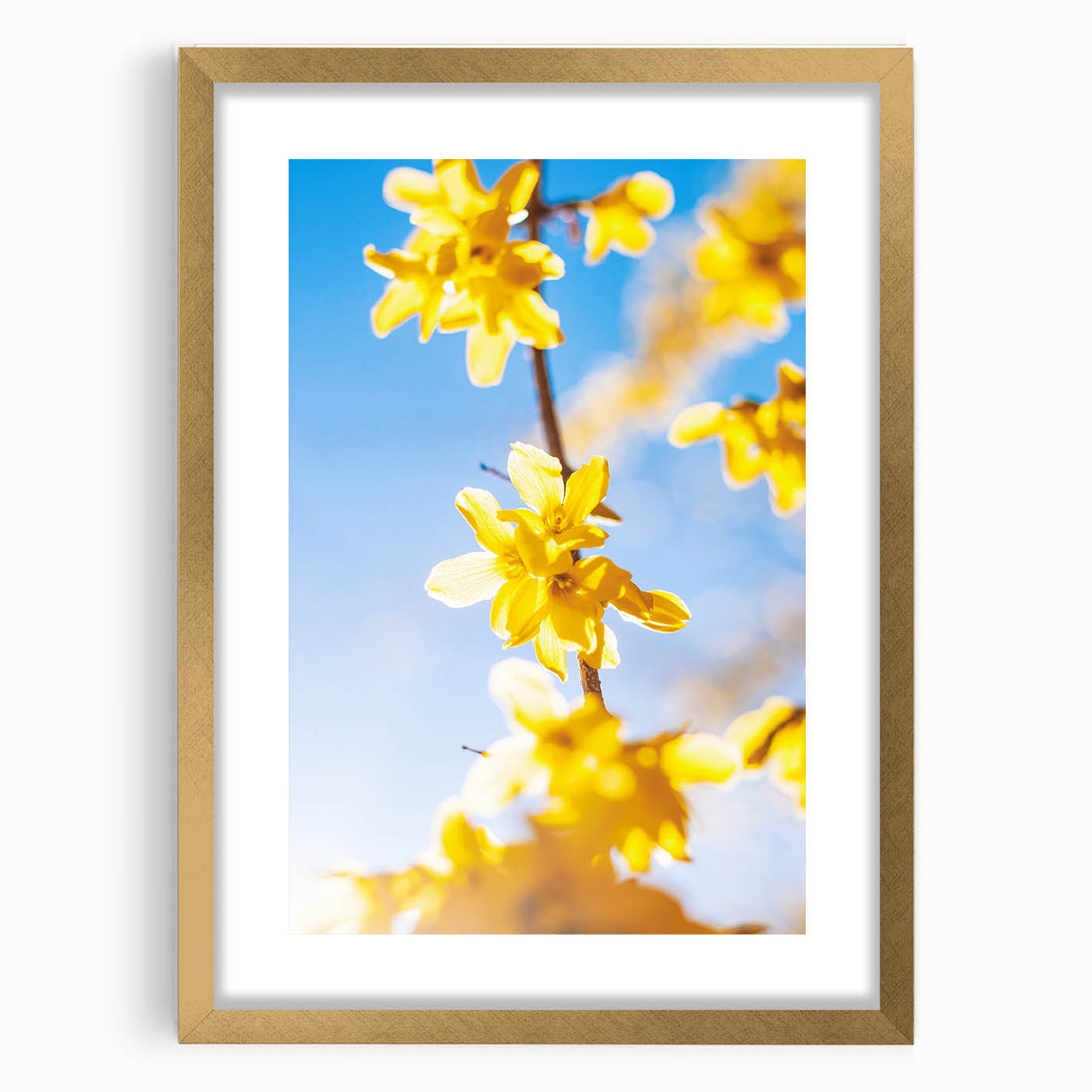 Extra large abstract art print in textured style, featuring vibrant spring hues on a gold-framed canvas.