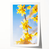 Spring-themed floral art on rolled canvas featuring soft pastel shades, ideal for art wall dining room or bathroom.