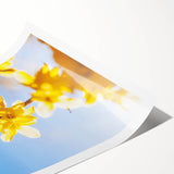 Extra large wall art featuring line art flowers in black on a white background, ideal for large living room decor.