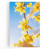 Black and white large art on stretched canvas depicting a minimalist spring scene, ideal for kitchen wall art.