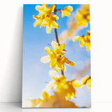 Large black and white stretched canvas depicting a spring season theme, ideal for kitchen wall art or bedroom ambiance.