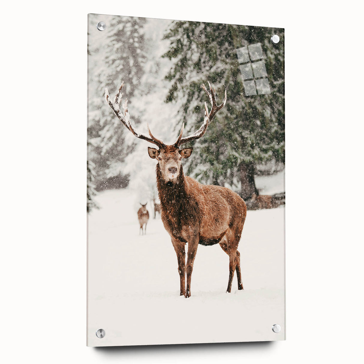 Large abstract wall art depicting winter themes in cool blue and white tones on acrylic glass.