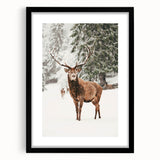 Extra large abstract art print featuring textured swirls in vibrant winter colors on a black framed canvas.