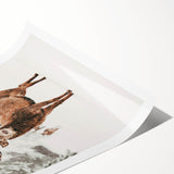 Extra large rolled print featuring minimalist line art of flowers in black and white, ideal for large living room wall art.