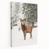 Winter-themed large art on stretched canvas, featuring muted blue and white tones, ideal for kitchen wall decor.