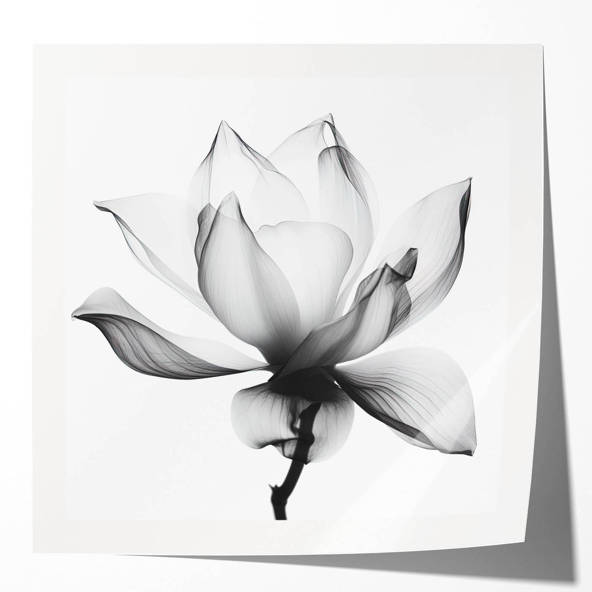 Abstract floral art print showcasing vibrant colors and intricate designs, presented in a glossy finish. Ideal for modern home decor or art enthusiasts.