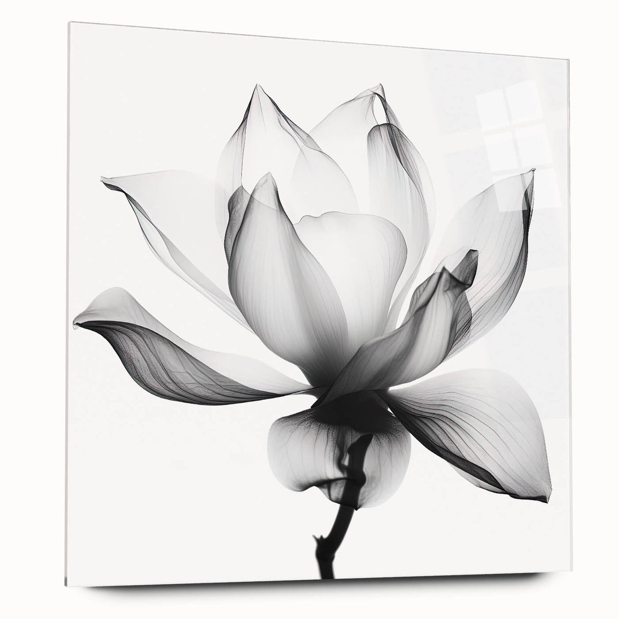 Abstract floral acrylic wall art piece showcasing vibrant colors and intricate designs, displayed in a side view to highlight its glass finish and modern aesthetic. Perfect for enhancing contemporary decor.
