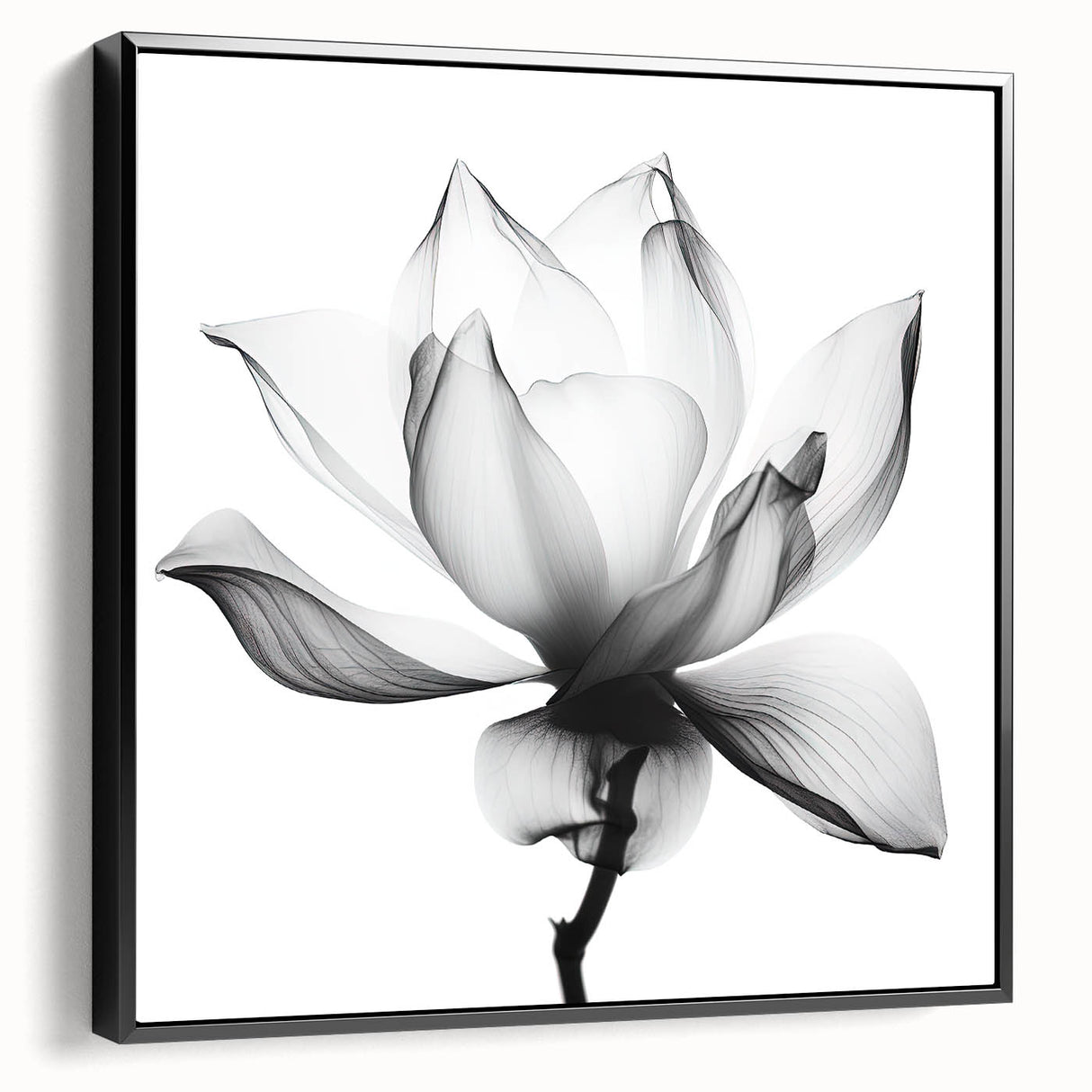 Framed canvas artwork showcasing abstract floral designs in vibrant colors, presented in a sleek black frame, perfect for modern home decor. Ideal for adding elegance and style to any living space.