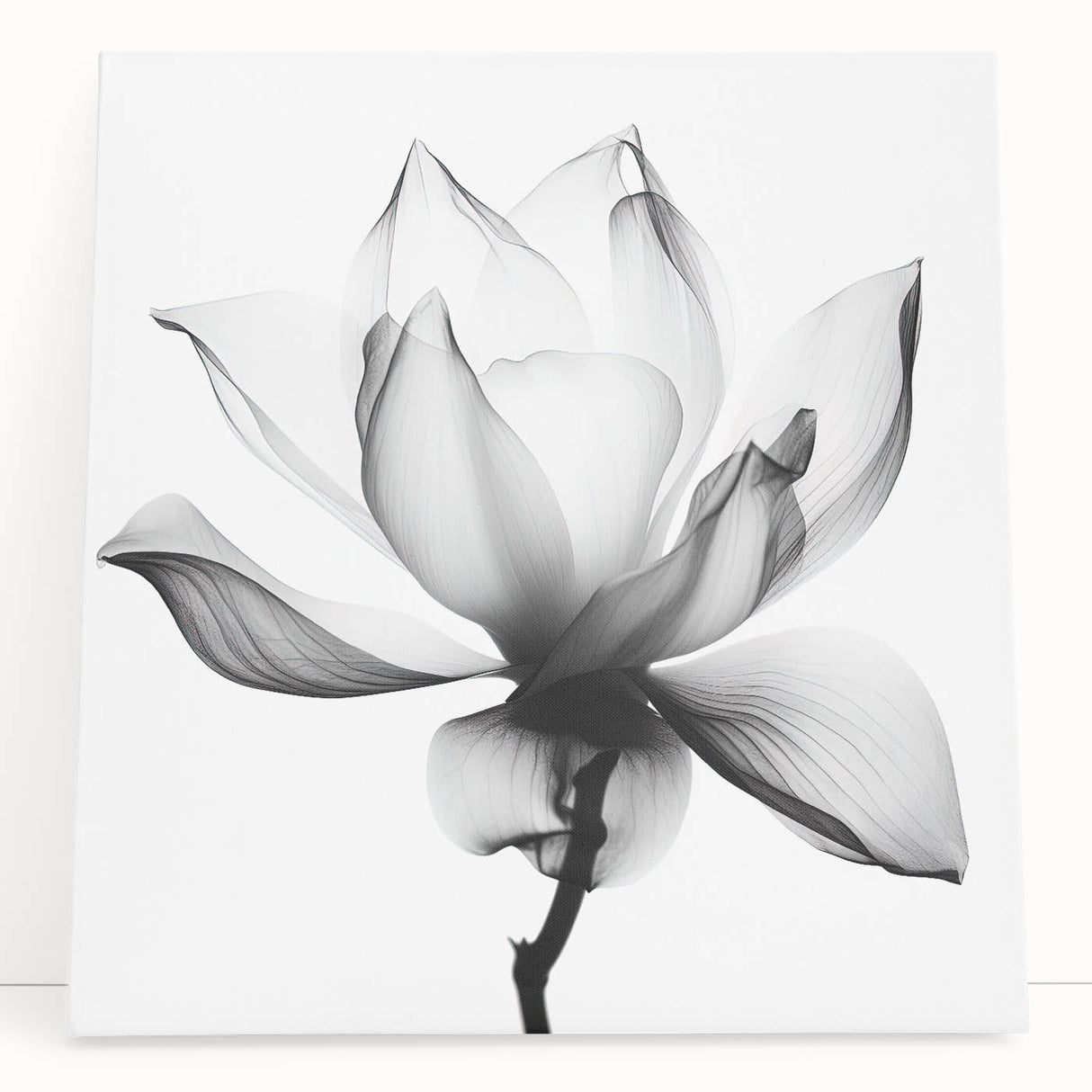 Abstract floral stretched canvas art featuring vibrant colors and intricate designs, elegantly leaning against a neutral wall, perfect for modern home decor.