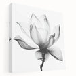 Abstract floral design on stretched canvas, showcasing vibrant colors and intricate patterns, ideal for modern home decor. This side view highlights the canvas's depth and texture, perfect for enhancing any living space.