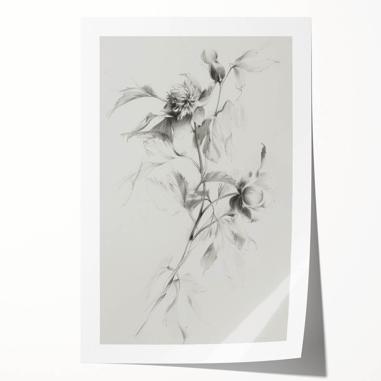Vibrant abstract floral rolled print showcasing intricate patterns in soft pastels and bold colors, perfect for modern home decor, elegantly packaged for safe delivery.