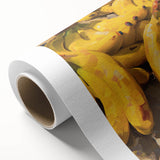 Art Deco poster featuring assorted fruits in vibrant colors on rolled canvas.