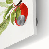 Detailed Art Realism - Vintage Plum Botanical Wall Art Print