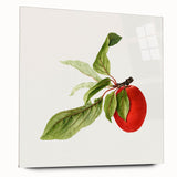Detailed Art Realism - Vintage Plum Botanical Wall Art Print