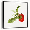 Detailed Art Realism - Vintage Plum Botanical Wall Art Print