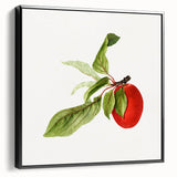 Detailed Art Realism - Vintage Plum Botanical Wall Art Print