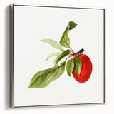 Detailed Art Realism - Vintage Plum Botanical Wall Art Print