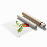 Detailed Art Realism - Vintage Plum Botanical Wall Art Print