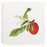 Detailed Art Realism - Vintage Plum Botanical Wall Art Print