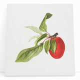 Detailed Art Realism - Vintage Plum Botanical Wall Art Print