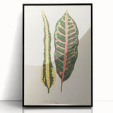 Romanticism Art: Croton Botanical Illustration for Classic Decor