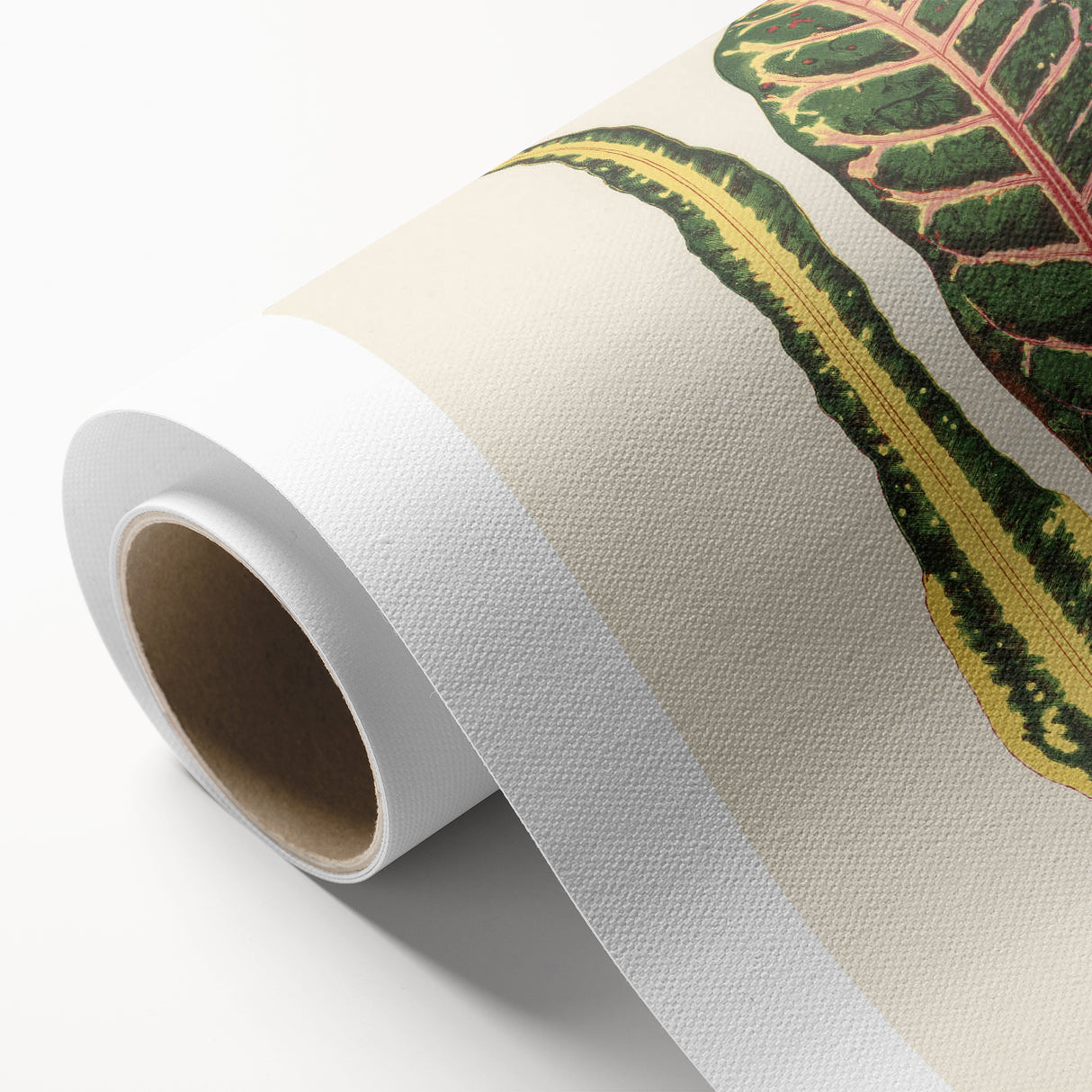Romanticism Art: Croton Botanical Illustration for Classic Decor