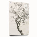 Abstract floral acrylic glass artwork displayed from a side view, showcasing vibrant colors and intricate designs, secured with decorative pins for elegance.