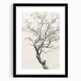 Abstract floral frame artwork in a sleek black mat, showcasing vibrant colors and intricate designs, perfect for modern home decor enhancement.