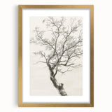 Elegant abstract floral design framed in gold, showcasing intricate patterns and vibrant colors against a matte background, perfect for home decor.