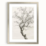 Abstract floral frame artwork with a silver mat, showcasing vibrant colors and intricate patterns, ideal for modern home decor. Perfect for adding elegance to any room.