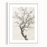 Abstract floral frame design featuring vibrant colors and intricate patterns, presented with a white mat and elegant front view, ideal for modern home decor.