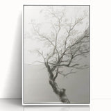 Framed acrylic artwork showcasing vibrant abstract florals in a white frame, perfect for modern home decor. Ideal for adding color and elegance to living spaces.