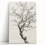 Abstract floral art on stretched canvas, featuring vibrant colors and intricate designs, elegantly leaning against a wall, perfect for home decor.