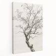 Stretched canvas artwork showcasing vibrant abstract florals in a variety of colors, designed to add a modern touch to home decor. Ideal for art enthusiasts.