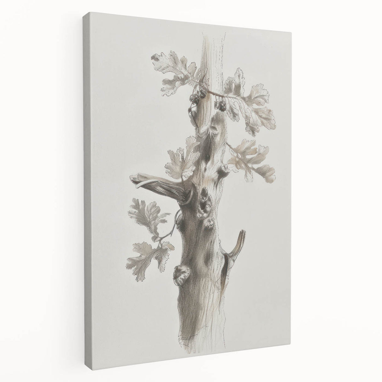 Abstract floral stretched canvas artwork showcasing vibrant colors and intricate designs, ideal for home decor, displayed from a side view. Perfect for adding a modern touch to living spaces.