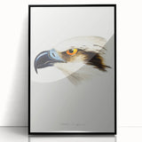 Romanticism Art: White-Headed Osprey Wildlife Illustration