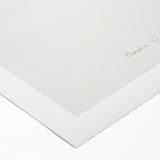 Romanticism Art: White-Headed Osprey Wildlife Illustration