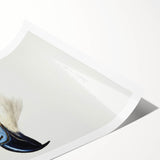 Romanticism Art: White-Headed Osprey Wildlife Illustration