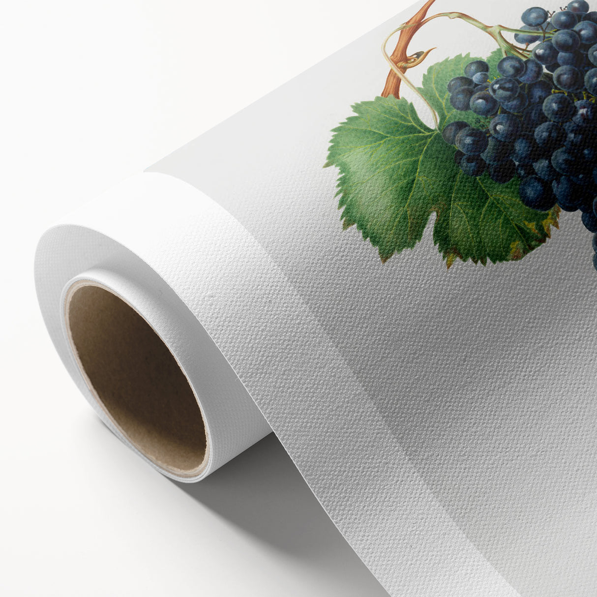Romanticism Art: Grape Spanna Botanical Illustration